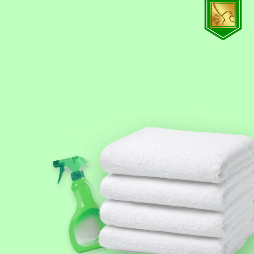 2 Years Personal Maid Visa (For Golden Visa Holder)